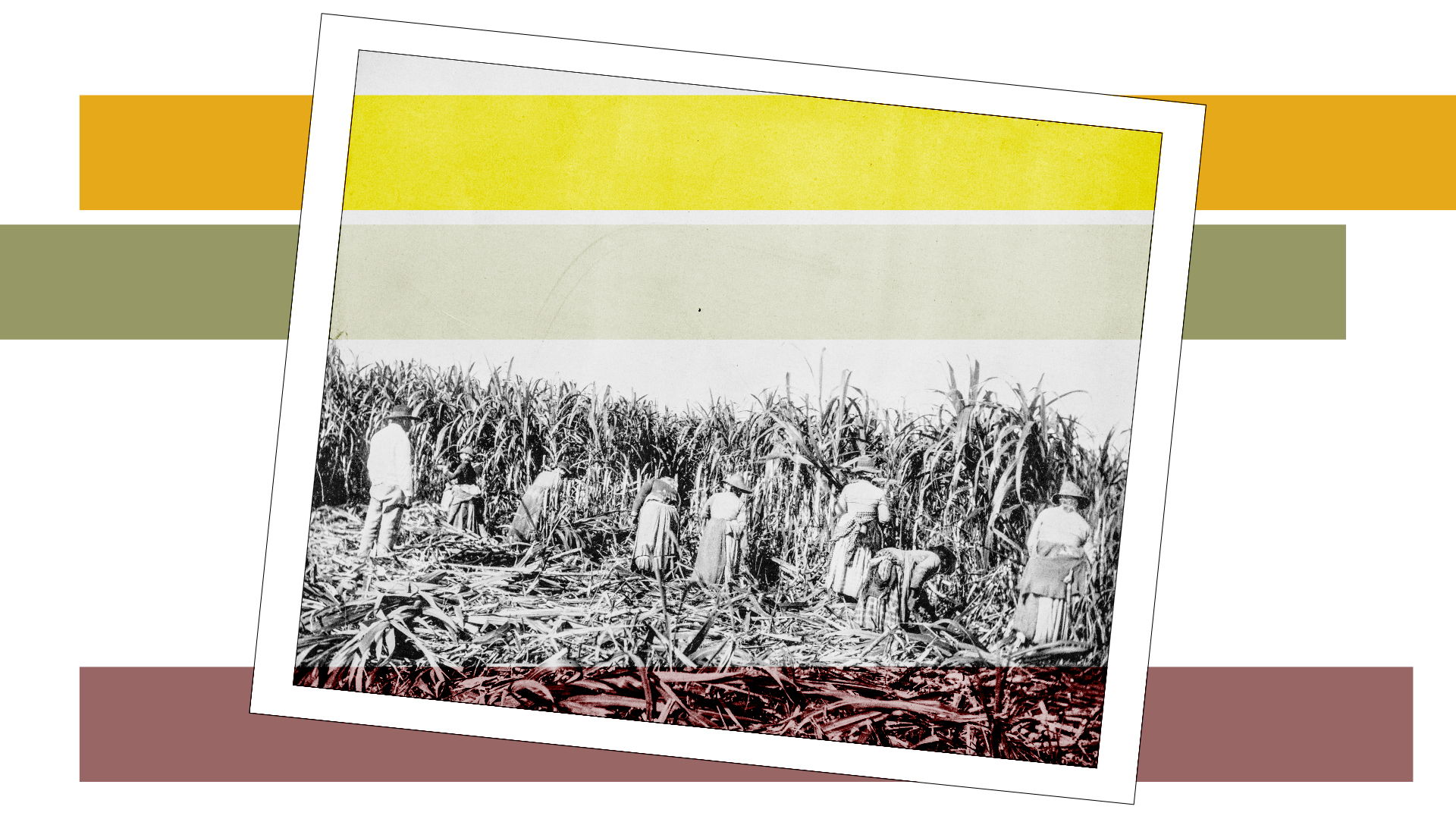 Alex O’Connor Says Scripture Supports Slavery. He’s Wrong.