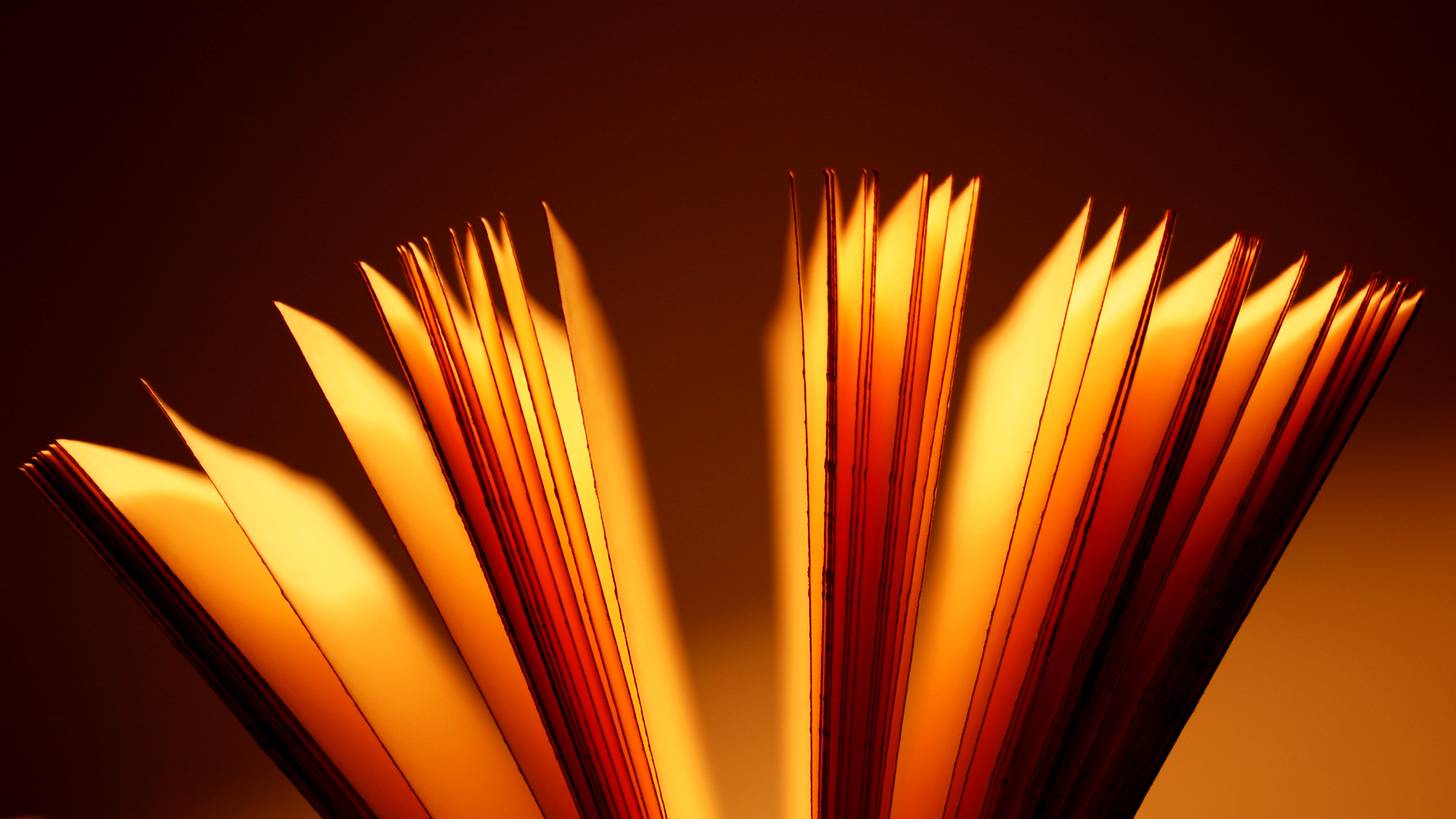 Why (and How) to Avoid Spicy Books