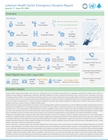 Lebanon Health Sector Emergency Situation Report Issue #17 - June 29, 2026