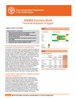 GIEWS Country Brief: The Arab Republic of Egypt 30-June-2026